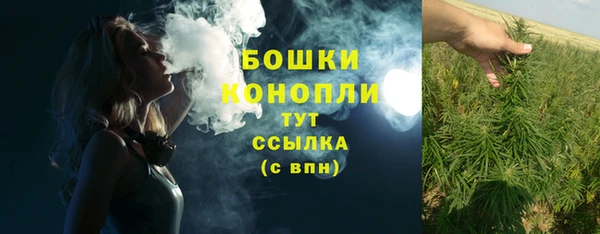 PSILOCYBIN Навашино