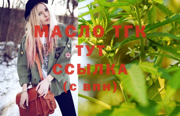 мет Инта