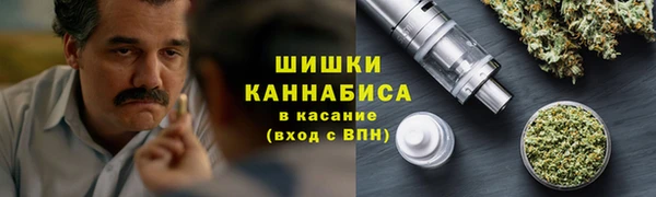 мет Инта