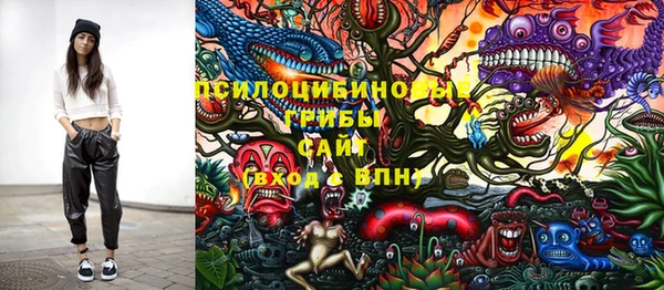 индика Надым