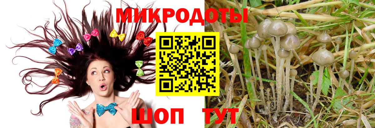 где продают   Псилоцибиновые грибы мицелий  Галлюциногенные грибы Psilocybine cubensis  Вход с VPN  Можга 