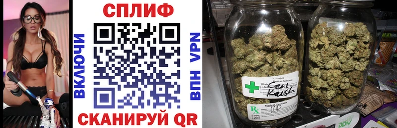 Каннабис VHQ  Можга 